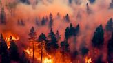 Los incendios forestales extremos son cada vez más intensos y se han duplicado en los últimos 20 años