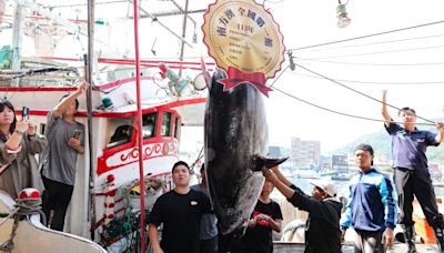 黑鮪魚季來了！今年全國第一鮪 蘇澳拍賣總價352萬