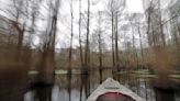 Louisiana crawfishermen, environmental groups sue Corps over proposed Atchafalaya Basin project