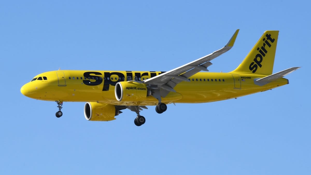 Spirit Airlines will apply for nonstop flights from Reagan National to San Jose - WTOP News