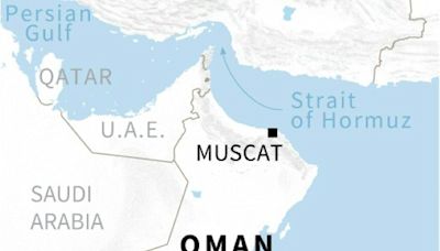 4 killed in shooting near Oman mosque: police