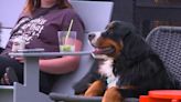 Paws & Pints hosts Cinco de Bow-Wow