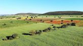 Los beneficios de devolver la biodiversidad al campo