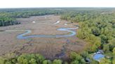 The EPA has stepped back from regulating US wetlands