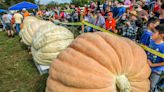 Pumpkin spice and everything nice: Get in the spirit by going to these RI fall festivals