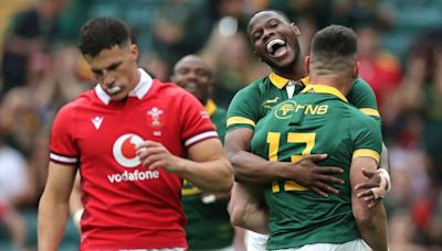 South Africa ease to five-try win over Wales