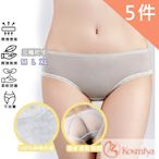 Kosmiya 薄款透明交叉網紗低腰冰絲內褲- 5件組