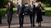 William and Harry united in grief as they meet well-wishers with their wives