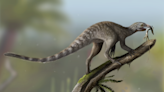 Paleontólogos brasileños, argentinos y de EE.UU. descubrieron un ancestro de los reptiles voladores