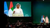 UAE’s Cop28 has ‘biggest carbon footprint’ of any climate summit