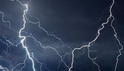 Man and 34 cows struck and killed by lightning in Colorado