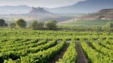 How to Find the Best Wines from Spain