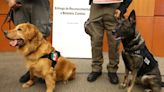 "Luca" y "Samantha", binomios caninos que Senado reconoce