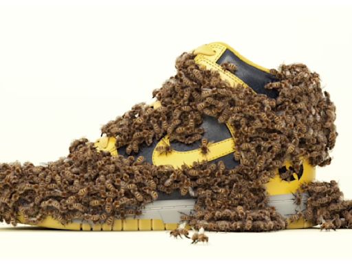 Nike Teases Return of the Mythical ‘Wu-Tang’ Dunk High