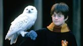 Los 10 datos ocultos sobre Harry Potter que todo fan debe saber