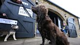 London election weather: Will the rain hold off as millions set to cast ballots?