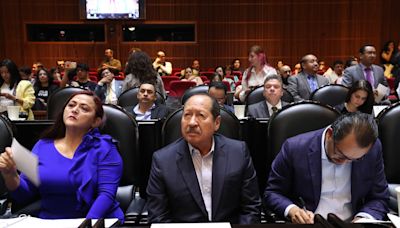 Los diputados aprueban las primeras reformas constitucionales de López Obrador