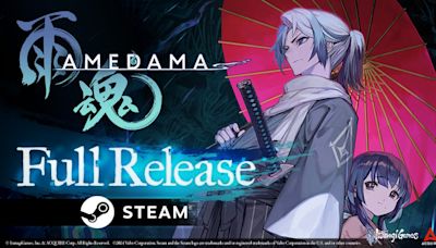 AMEDAMA for PC now available