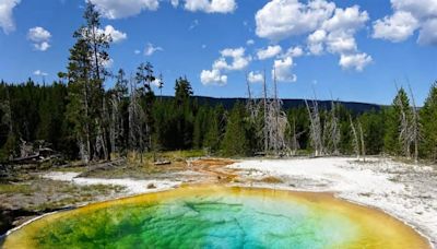 Yellowstone-Nationalpark: Touristen zerstören einzigartiges Naturwunder!