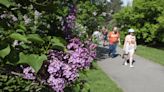 Flower City absent from NY weekly Blooms Report? Gardens Rochesterians would like to see included