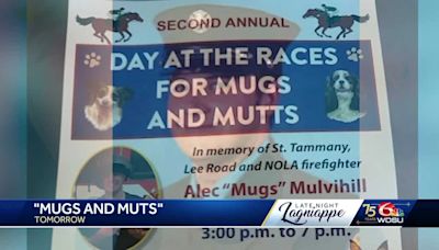 Fundraiser for animals in loving memory of local firefighter