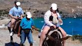 The plight of Greek donkey 'taxis': Appeal to end cruel rides