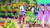 Rain boosts sale of saplings at nurseries in twin cities | Hubballi News - Times of India