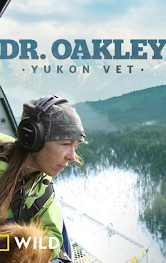 Dr. Oakley, Yukon Vet