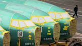 Boeing 737 Deliveries to China Still Halted Amid Restart Reports