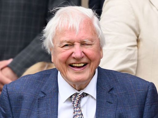 David Attenborough announced for new TV project in career first