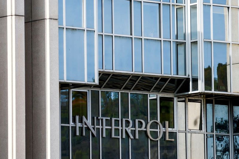 Brazilian to become first head of Interpol from developing world