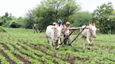 Renewed focus on agriculture sector in the Budget to support rural economy