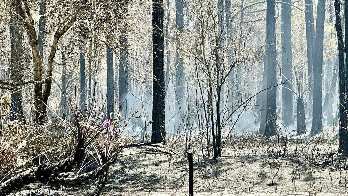 Brush fire in Martin County's Stuart West Community contained