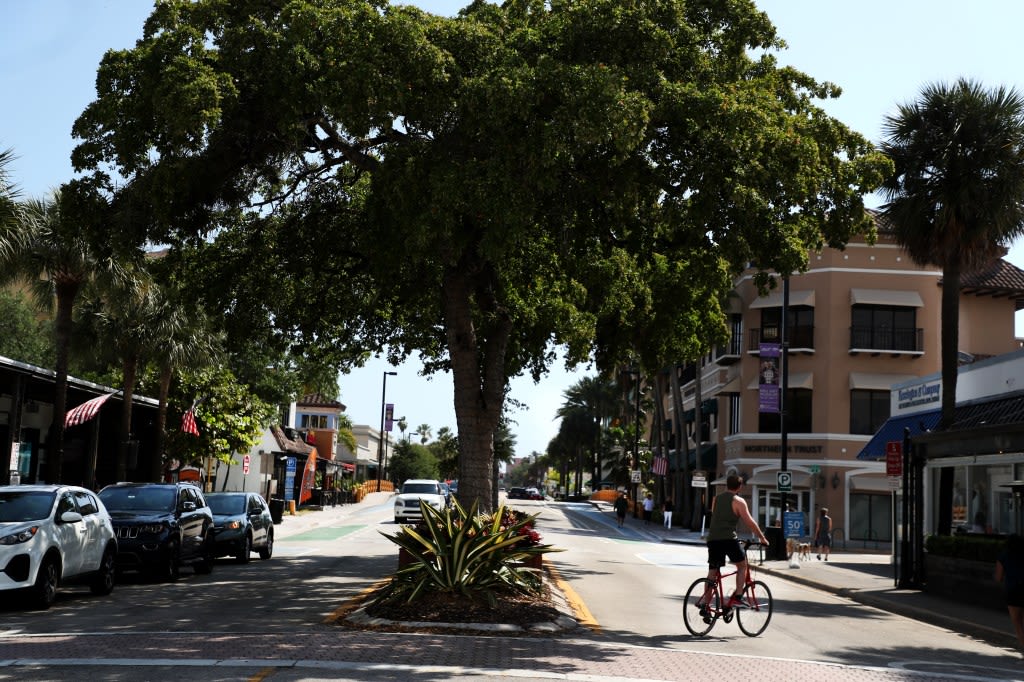 Save the trees along Las Olas Boulevard | Letters to the editor