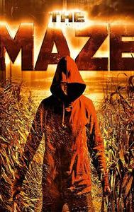 The Maze