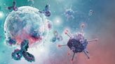 Los linfocitos B y su séquito: ¿una posible kriptonita del cáncer?