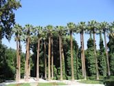 National Garden, Athens