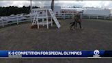 Police dogs competing for a good cause