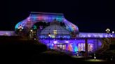 Phipps’ holiday show returns