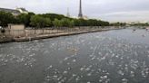 is confident that water quality will allow Olympic swimming in the River Seine