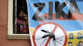 Zika virus cases on the rise in India: Should you be worried?