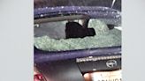 Hail causes damage in some parts of Denver metro area after thunderstorms roll through
