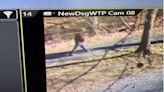 NPS continues to seek info, investigate after second towpath incident in Frederick County