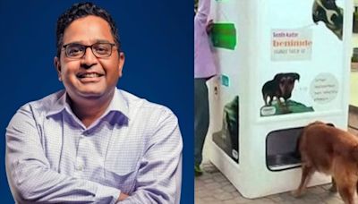 'Need champion of change': Paytm founder Vijay Shekhar Sharma says 'would love to fund' for vending machine for stray dogs