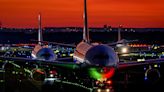 Part of Frankfurt Airport's power supply cut overnight by a dormouse