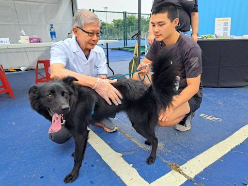 台積電運動會攜手中華保護動物協會 推出寵物路跑與健康檢查活動 | 蕃新聞