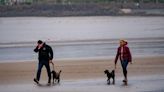 Sign banning dog walkers from beach was 'error'