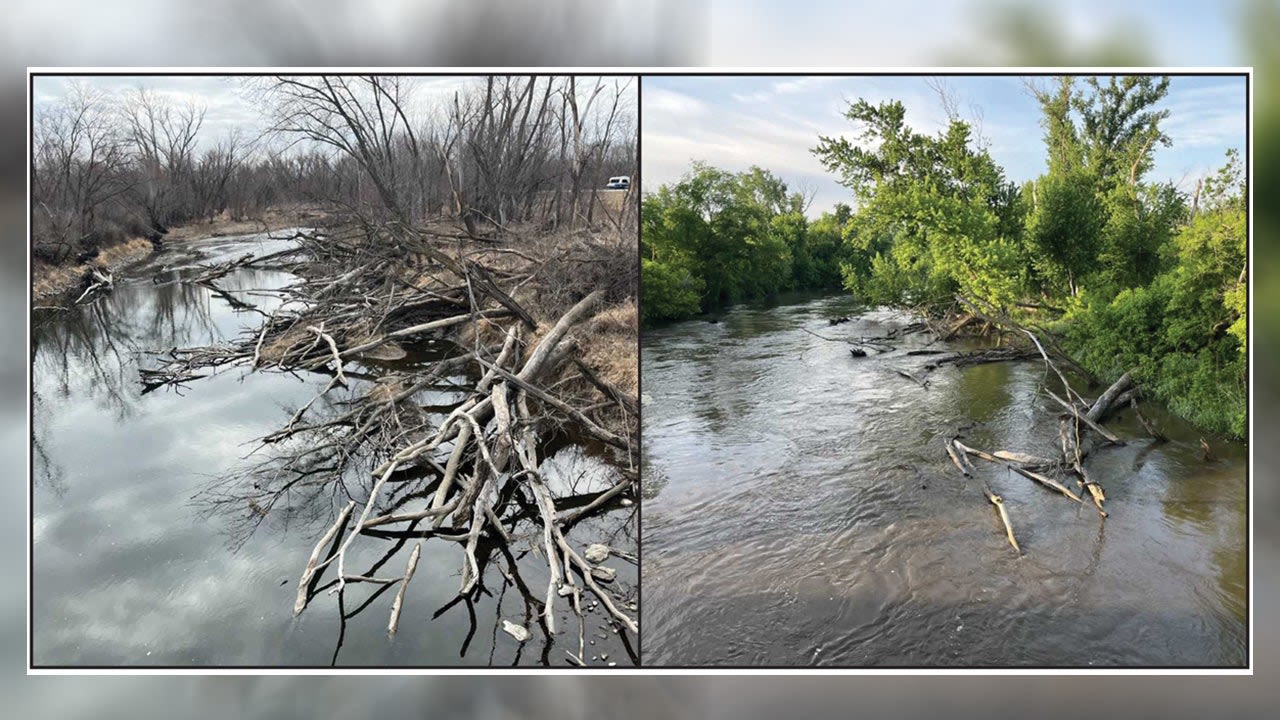 Cannon River water rescue saves multiple people after canoes, kayak capsize