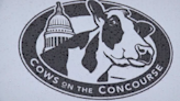 Dairy lovers gather to Madison's Cows on the Concourse festival