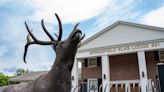 Springfield Elks Lodge plans benefit concert for veterans